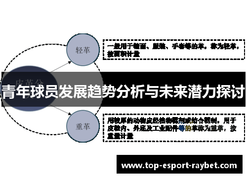 青年球员发展趋势分析与未来潜力探讨