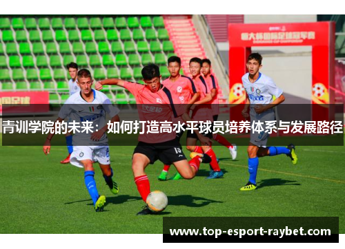 青训学院的未来：如何打造高水平球员培养体系与发展路径