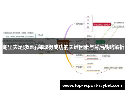 谢里夫足球俱乐部取得成功的关键因素与背后战略解析